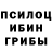 Галлюциногенные грибы Magic Shrooms Raul Migal