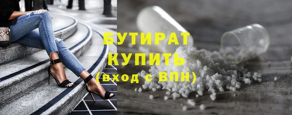 гашик Ельня