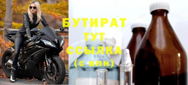 гашик Ельня