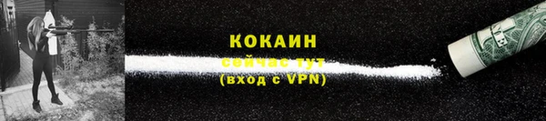 гашик Ельня