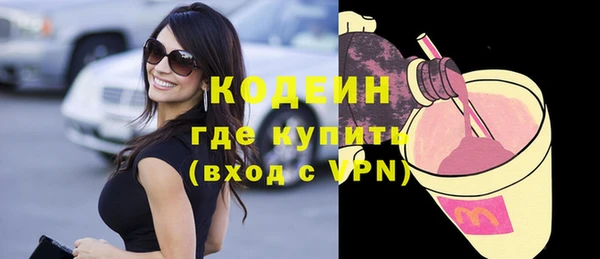 гашик Ельня