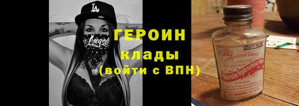 гашик Ельня