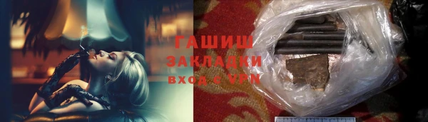 гашик Ельня