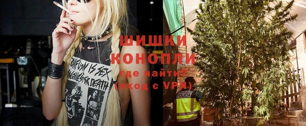 гашик Ельня