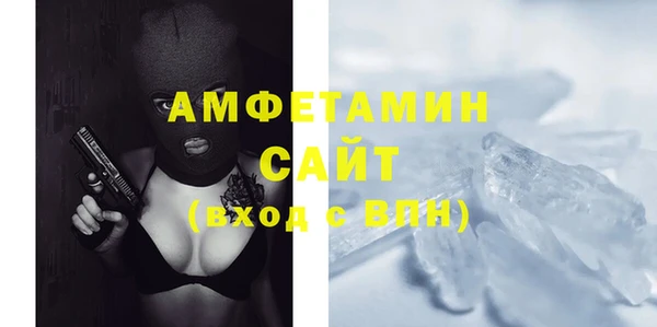 гашик Ельня