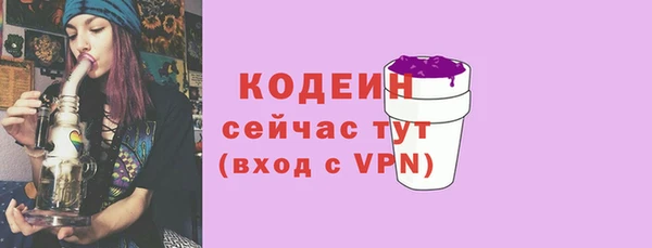гашик Ельня