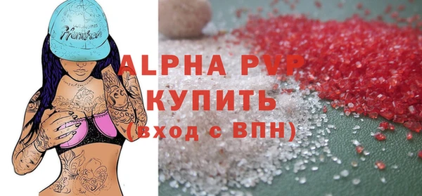 гашик Ельня