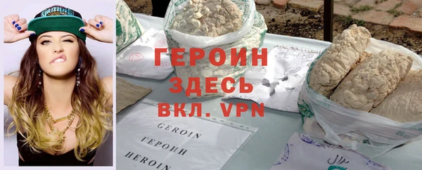 гашик Ельня
