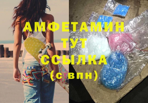 гашик Ельня