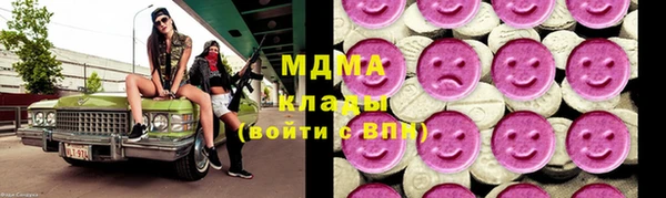 гашик Ельня